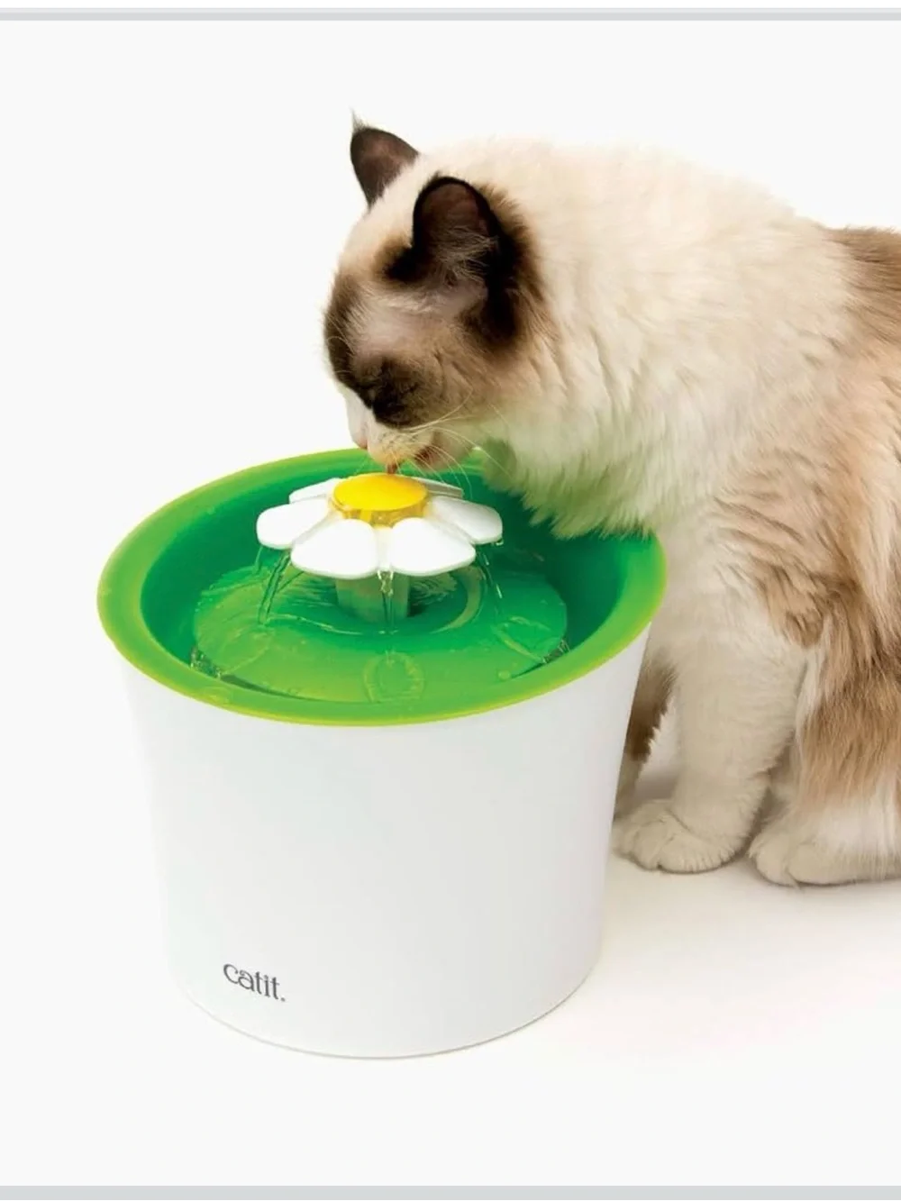 Flower Fountain LED Cat Water Dispenser - Blue and White